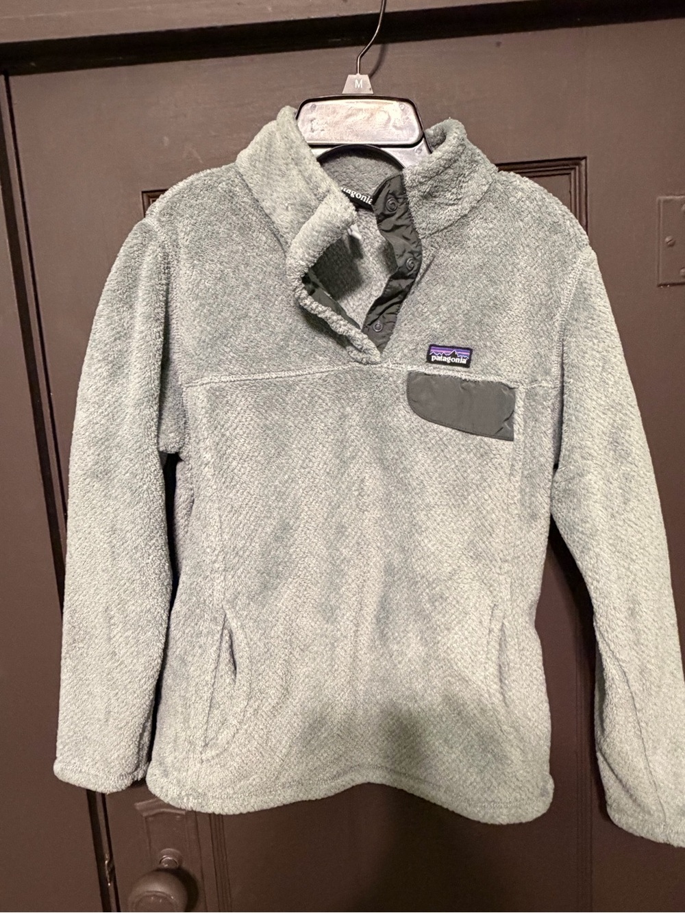 Patagonia Kids Pullover Fleece Jacket in Light Gray-Green